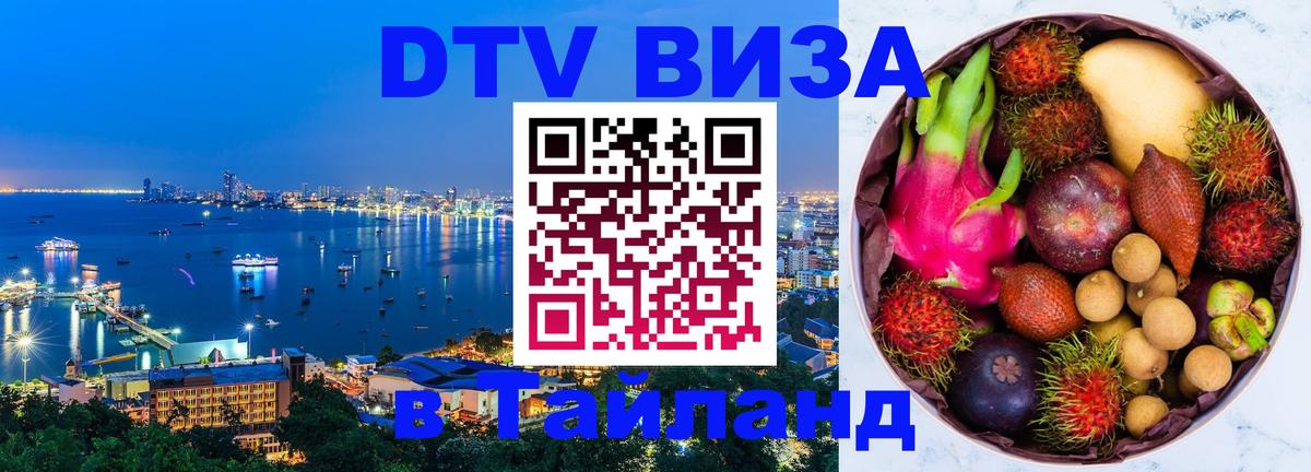 Оформление DTV визы под ключ: стоимость и тарифы, только загранпаспорт - 18.11.2025 